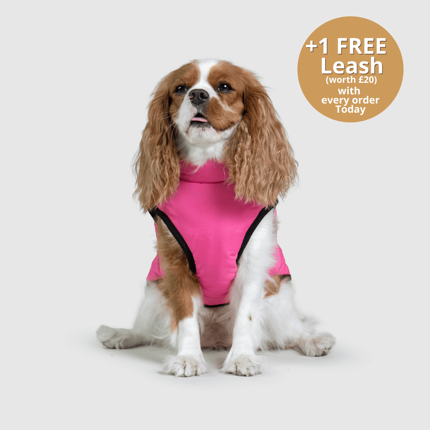 DoggyKings™ 3 in 1 Jacket