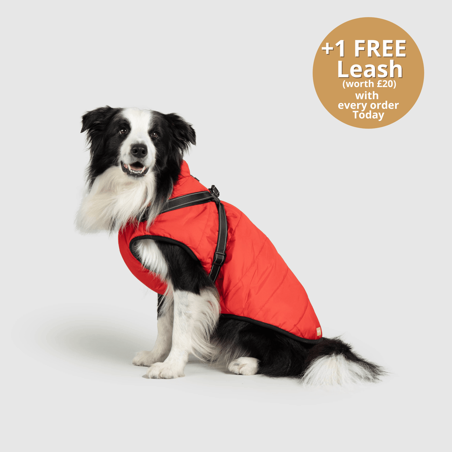 DoggyKings™ 3 in 1 Jacket