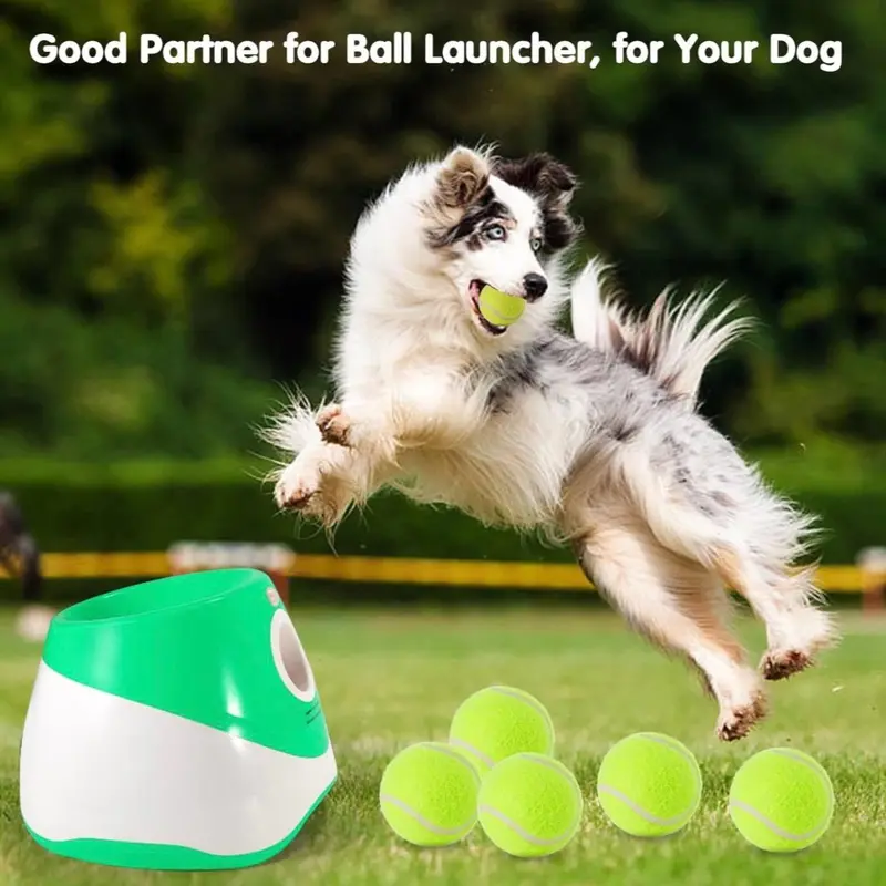 Automatic Dog Ball Launcher