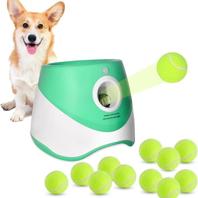 Automatic Dog Ball Launcher
