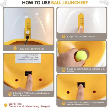 Automatic Dog Ball Launcher