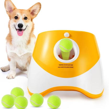 Automatic Dog Ball Launcher